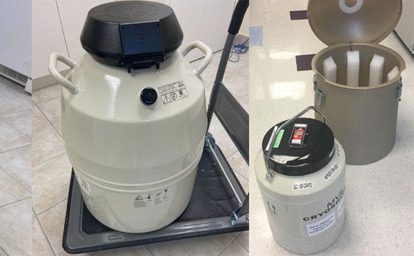 mve液氮罐 mve液氮罐